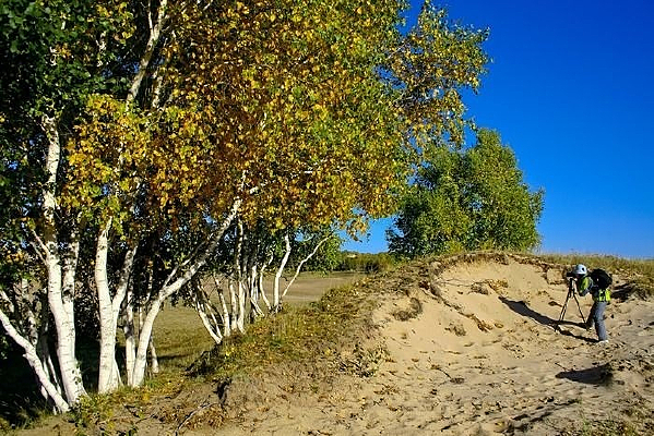 �������յ���Ӱʦ