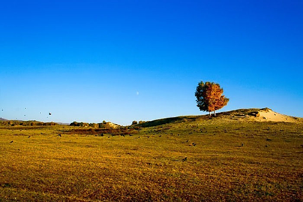 ���ԭ��ɽ��