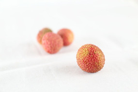 �������֦