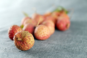 �ʻ�����Ц