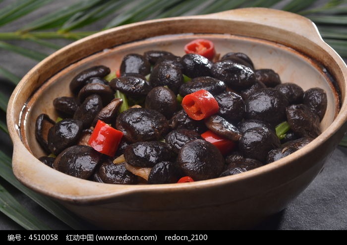 ����С�㹽ͼƬ