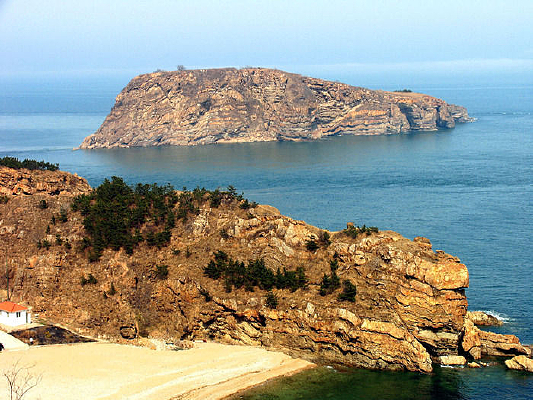 ������鳵�