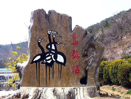 ������ͨ