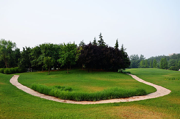 ����ʯ��·