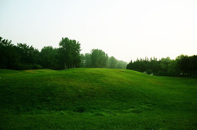 �߶������̲ݵ�