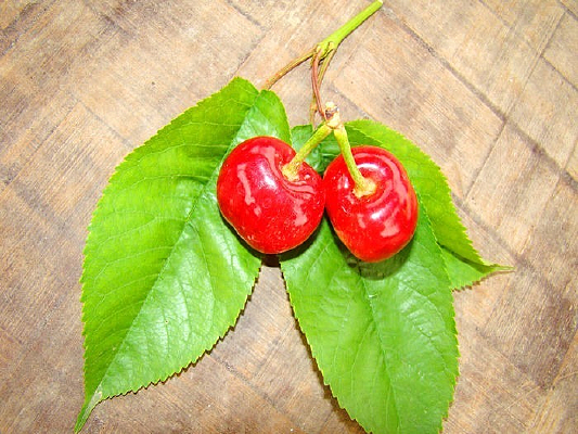 Ư����ӣ��