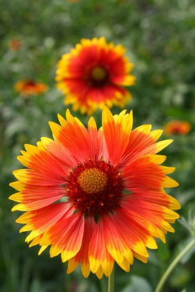 ����С�ջ�