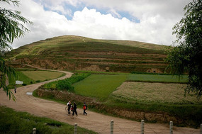 ɽ·�ϵ�����