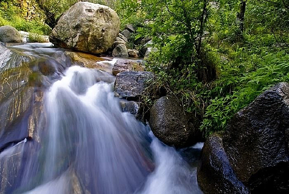 �����кӵ�