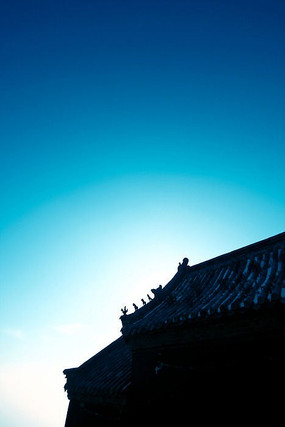 ɽ���Ž������