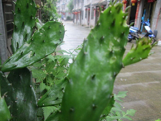 ��������д