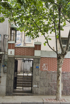 �����ſڵ���