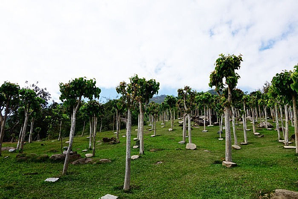 �����¾���