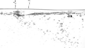 Ʈ�ɵ�����