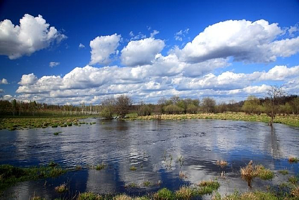 �����ӷ��