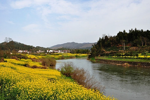 �ӱߵ��Ͳ˻�