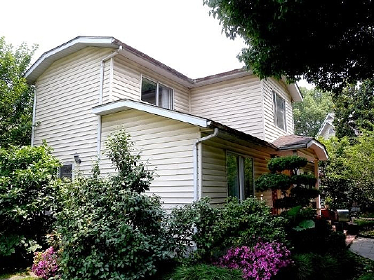 ������ӵ