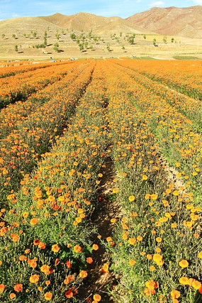 ũ�������