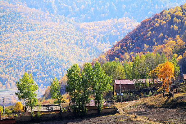 �¹���ũ��