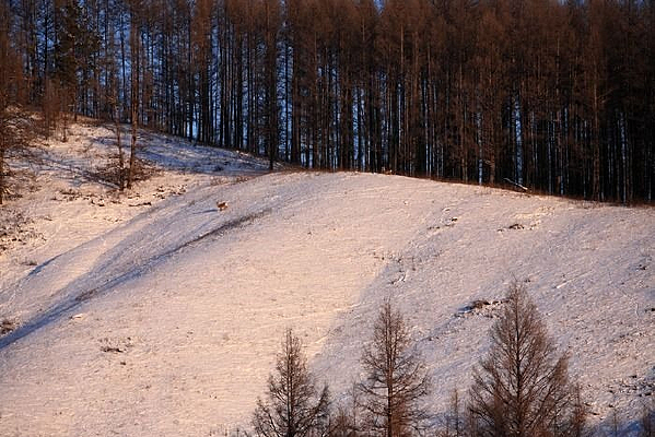 Ұ������