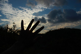 ��������