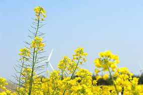 �Ͳ˻�����