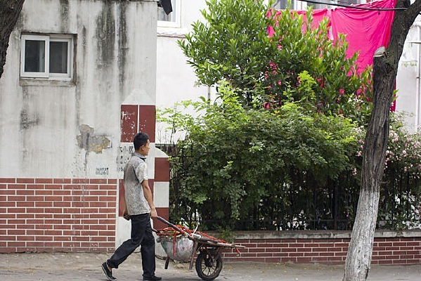 �Ƴ�����