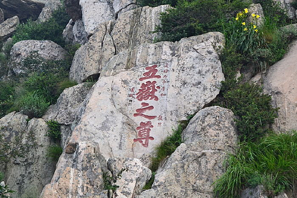 ����֮��