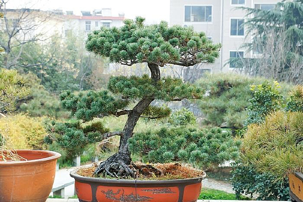 ��������