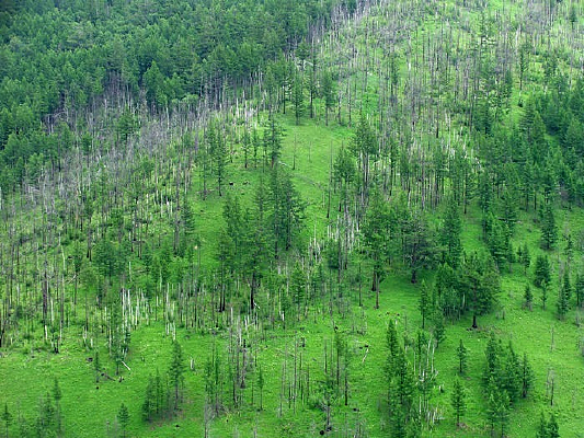 ����ɽ���