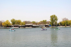 ������԰�δ�