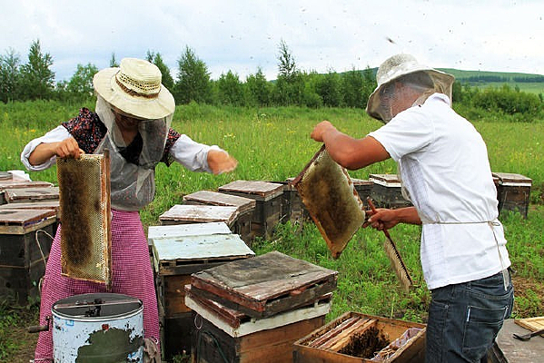 ��ũ����