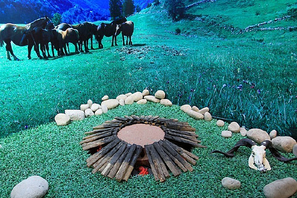 ���������