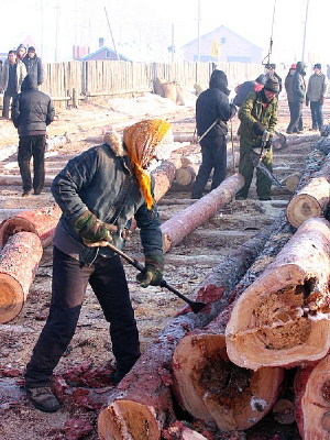 ������Ƥ