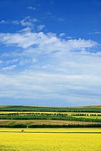 ����ũ��