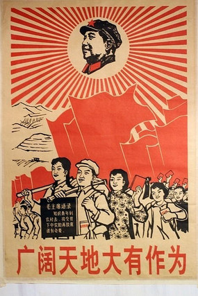 ֪��������