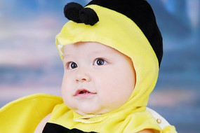 �����ı���