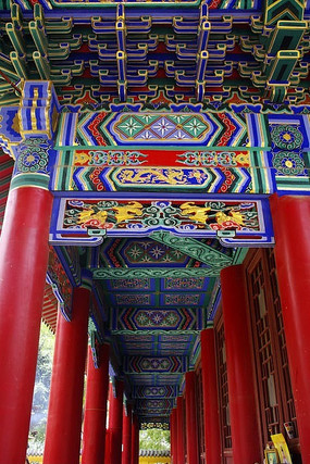 �ʻ�����