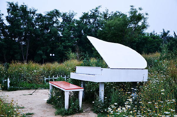 ���ٵ���