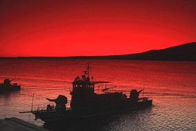 ӭ������