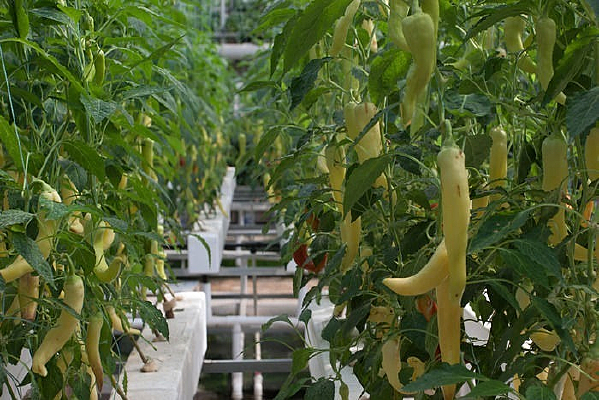 ������������