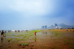 ɽ����̲ԡ��