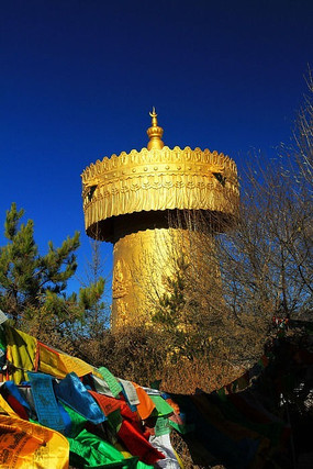 ������ת��Ͳ