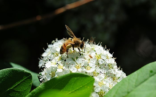 �׻�����æµ�۷�