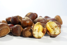 ����ë��