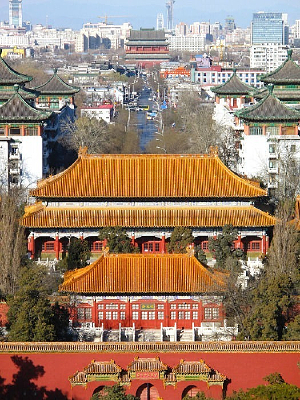 ����������