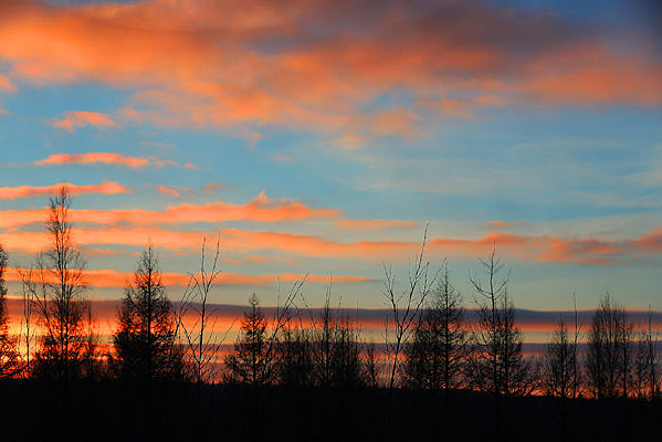 ��ϼ������