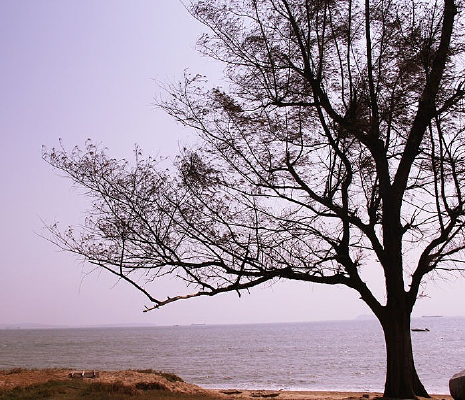 ���պ��ߵĴ���