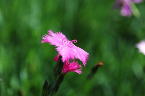 �ۻ����˻���