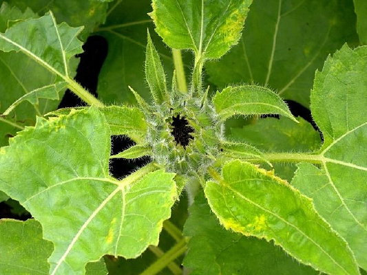 �������ŵ����տ�